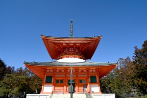 A-12大塔外観