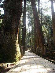 the route to Okunoin