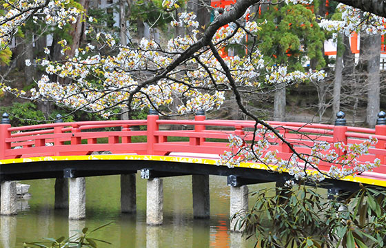 Hasu-ike (Lotus Pond)