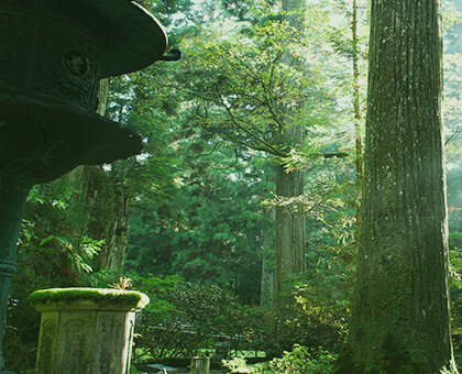 Visit Mount Koya