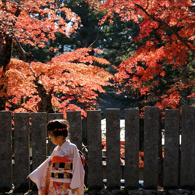 Temple visit