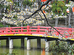 Hasu-ike (Lotus Pond)